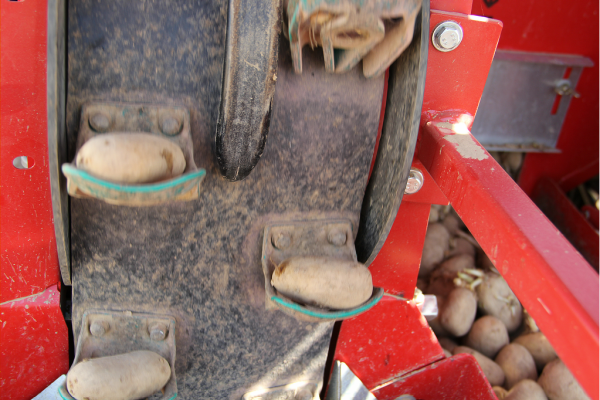 img-13693EE1DBC3-439B-1E6B-E00F-30887D71F298.png